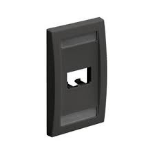Panduit Placa Ejecutiva de 2 Puertos, Negro 