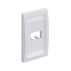 Panduit Placa de Pared Vertical CFPE2IGY, 2 Puertos, Gris 