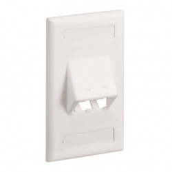 Panduit Placa Vertical Inclinada, 2 Puertos Mini-Com, Blanco 