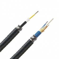 Panduit Cable Central con Armadura de 6 Fibras OM2, 50/125, Multimodo, Riser, 30cm, Negro 