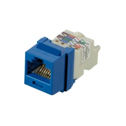 Panduit Jack de Red Cat6, RJ-45, Azul 