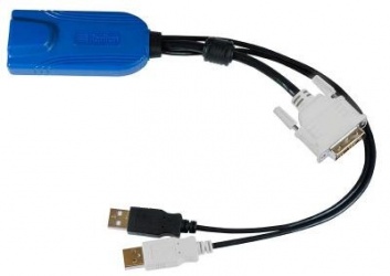 Raritan Cable KVM USB/DVI/RJ-45, 30cm, Negro 