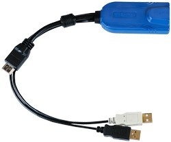 Raritan Cable KVM USB/HDMI, 30cm, Negro 