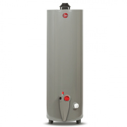 Rheem Calentador de Agua 29V40, Gas Natural, 152 Litros/Hora, Gris 
