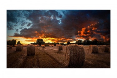 Samsung VM55T-U Pantalla Comercial IPS 55