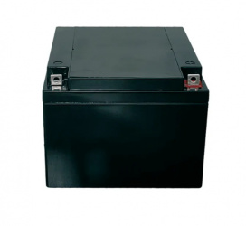 Saxxon Batería de Reemplazo para No Break CBAT24AH, 12V, 24Ah 