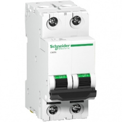Schneider Electric Interruptor Termomagnético de 2 Polos 24342, 400V, 50A 