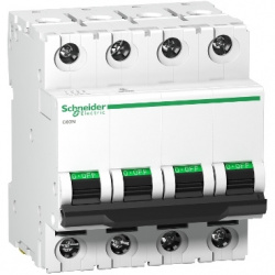 Schneider Electric Interruptor Termomagnético de 1 Polo 24405, 230V, 25A 