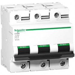 Schneider Electric Interruptor Termomagnético de 3 Polos C120N, 220/440V, 100A 