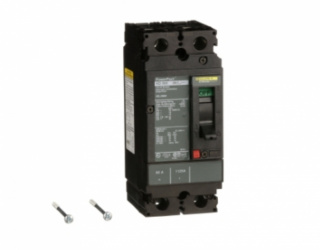 Schneider Electric Interruptor Termomagnético de 2 Polos PowerPact, 600V, 60A 
