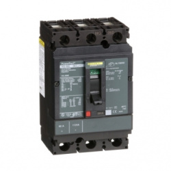 Schneider Electric Interruptor Termomagnético de 3 Polos HGL36060, 60A, Entrada 600V 