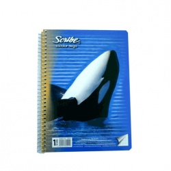 Scribe 1004543 Cuaderno Forma Francesa de Cuadro Grande 7mm, 100 Hojas 