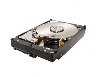 Disco Duro Interno Seagate Constellation 3.5'', 2TB, SATA, 3 Gbit/s, 7200RPM, 64MB Cache 