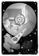 Disco Duro Interno Seagate Barracuda DB35 3.5'', 320GB SATA II, 7200RPM, 8MB 