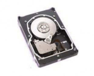 Disco Duro para Servidor Seagate Cheetah 73.4GB SCSI 10.000RPM 3.5