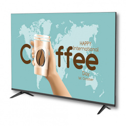 Sharp 4P-B50EJ2U Pantalla Comercial LCD 50