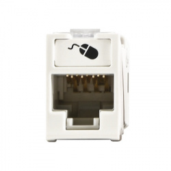 Siemon Jack de Red Cat5e UTP, Montaje Hibrido, RJ-45, Blanco 