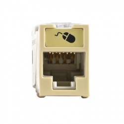 Siemon Jack de Red Cat6 UTP, Montaje Hibrido, RJ-45, Marfil 