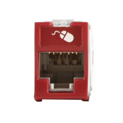 Siemon Jack de Red Cat6a UTP, Montaje Hibrido, RJ-45, Rojo 