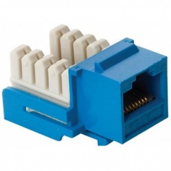 Steren Jack de Red de 8 Contactos Cat5e, RJ-45, Azul 
