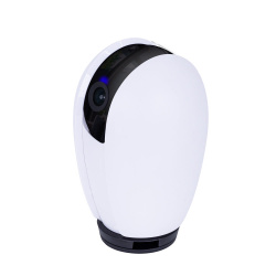 TechZone Cámara IP Smart WiFi Web de Escritorio para Interiores ICSHCAM-EVA, Inalámbrico, 1920 x 1080 Pixeles, Día/Noche 