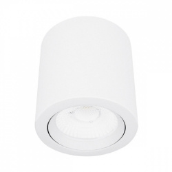 Tecnolite Lámpara LED para Techo Ashlesha, Interiores, Luz Cálida, 10W, 1020 Lúmenes, Blanco, para Casa 