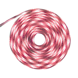 Tecnolite Tira de Luces LED Luz Rojo Halo RO, 5m x 1.2cm, 1 Pieza 