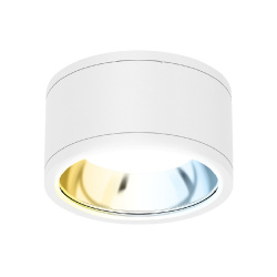 ﻿Tecnolite Lámpara LED Plafón para Sobreponer, Interiores/Exteriores, Luz Blanca, 35W, 3100 Lúmenes, Blanco 