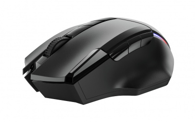Mouse Gamer Trust Óptico GXT 131 Ranoo, RF Inalámbrico, USB-A, 4800DPI, Negro 