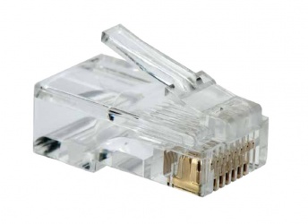Vorago Conector RJ-45, Transparente, 100 Piezas 