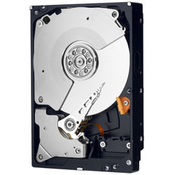 Disco Duro Interno Western Digital WD Caviar Black 3.5
