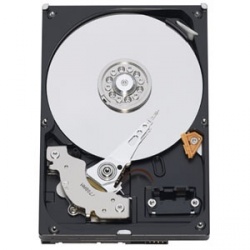 Disco Duro Interno Western Digital WD WD1600AVVS 3.5'', 160GB, SATA, 5400RPM 