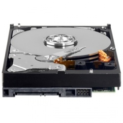 Disco Duro Interno Western Digital WD WD2500AVCS 3.5