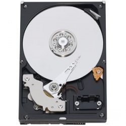 Disco Duro Interno Western Digital WD RE3 250GB 3.5'', 250GB, SATA, 7200RPM, 16MB Cache 