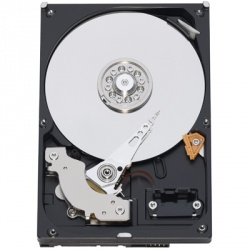 Disco Duro Interno Western Digital WD Enterprise RE3 3.5'', 500GB, SATA II, 3 Gbit/s, 7200RPM 