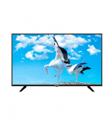 Winia Smart TV LED L43B7500QN 43