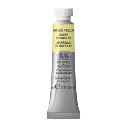Winsor & Newton Pintura Base de Agua para Arte, 5ml, Amarillo Nápoles No. 422 