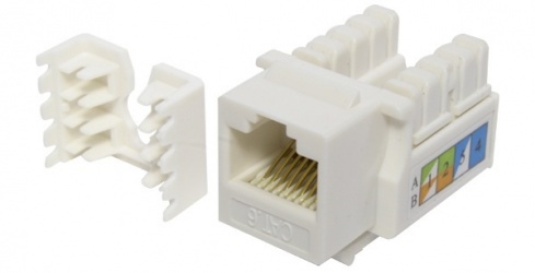X-Case Jack de Red Cat6 UTP, RJ-45, Blanco, 1 Pieza 