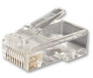 X-Media Conector RJ-45, Cat5e, Bote con 50 Piezas 
