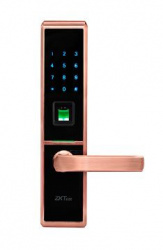 ZKTeco Control de Acceso y Asistencia Biométrico con Cerradura TL100, 100 Tarjetas/100 Usuarios, Cobre 