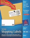 Avery Etiquetas para Dirección 8163, 250 Etiquetas de 2'' x 4'', Blanco