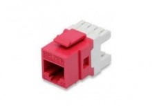 Belden Jack de Red Cat6a, RJ-45, Rojo/Blanco