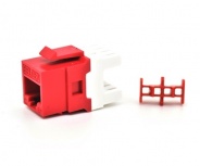 Belden Jack de Red Cat6+, RJ-45, Rojo