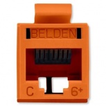 Belden Jack de Red Cat6+ UTP, RJ-45, Naranja