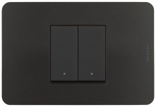 Bticino Placa Ciega de Pared JA4819JBQ, 2 Puertos, Negro - incluye Chasis