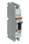 Bticino Interruptor Termomagnético de 1 Polo T6031/100, 347V, 100A