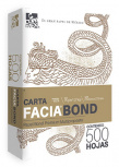 Copamex Papel Facia Bond 75g/m², Carta, 500 Hojas, Blancura 99%