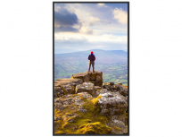 Dataproducts sharp PN-E509 Pantalla Comercial LED 50", 4K Ultra HD, Negro