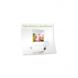 Epson Papel Fotográfico Brillante Premium 255g/m², Tamaño Carta, 20 Hojas