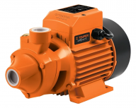 Expert Bomba de Agua Periférica 10070, 50L/h, 1HP